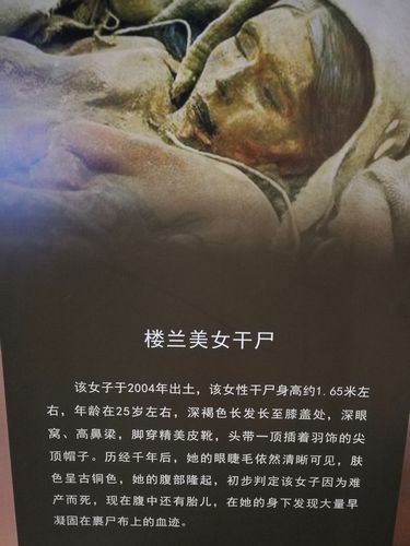 admin 第44页