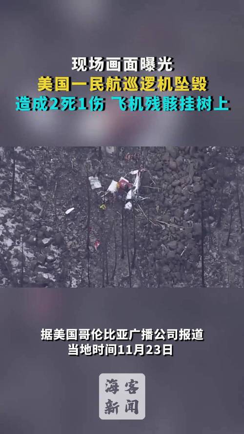飞机坠毁246人遇难,飞机坠毁246人遇难视频
